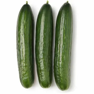 Огурцы длиноплодные