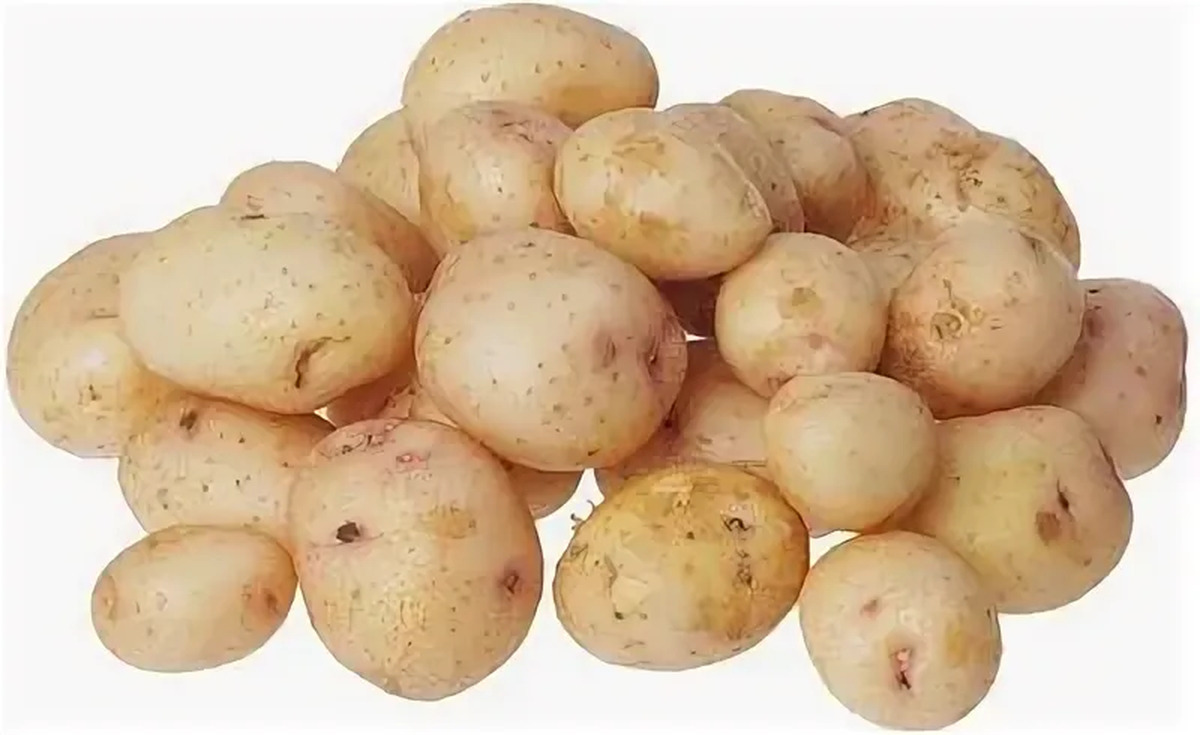 Картофель молодой